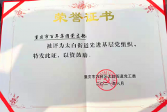 百年集團(tuán)黨支部回報(bào)社會(huì)，努力踐行社會(huì)責(zé)任與