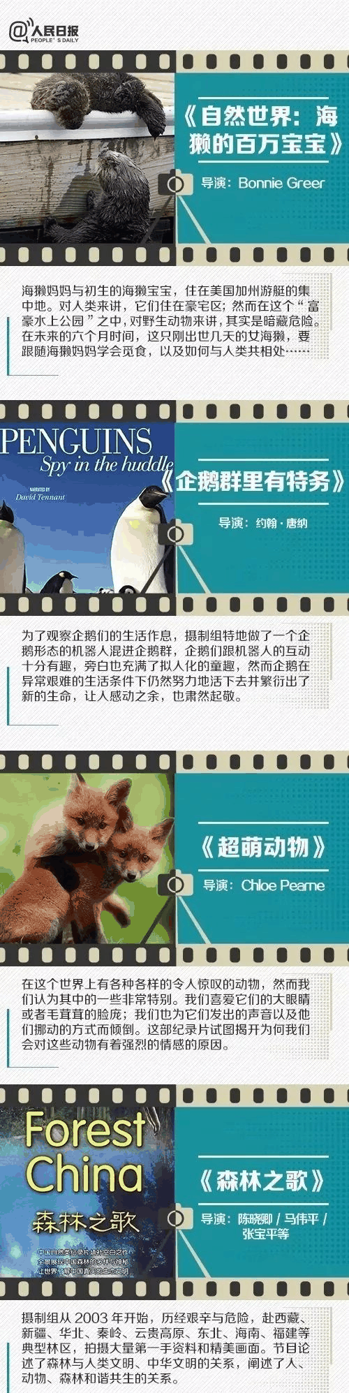人民日報推薦！小長假陪孩子看這些紀錄片，勝過出門玩五天