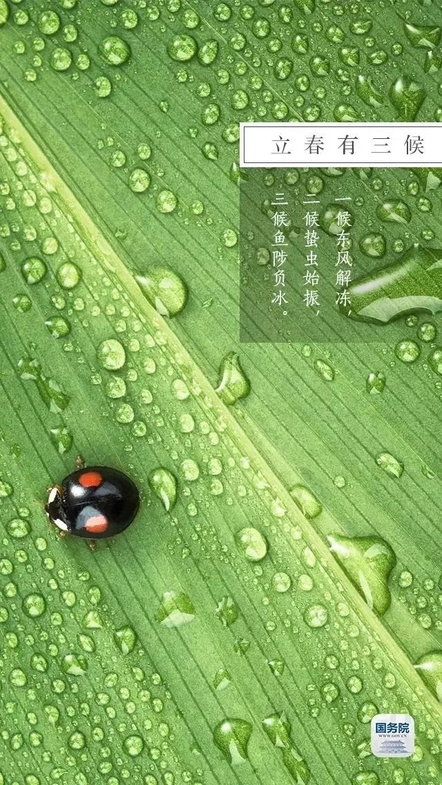 今日立春 | 在這里，邂逅最美春天……