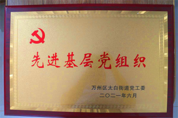 集團(tuán)黨支部回報(bào)社會(huì)，努力踐行社會(huì)責(zé)任與擔(dān)當(dāng)